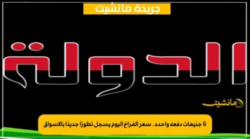 6 جنيهات دفعة واحدة.. سعر الفراخ اليوم يسجل تطورًا جديدًا بالأسواق 1